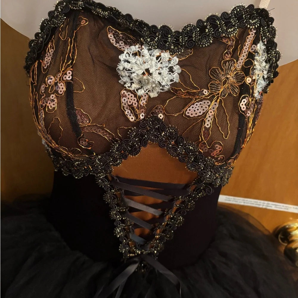 Black and Bronze Ballet Costume - Picture 2 of 6